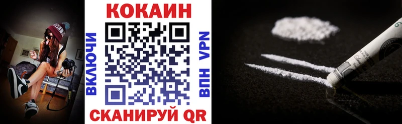 Cocaine FishScale  дарнет шоп  Ефремов 