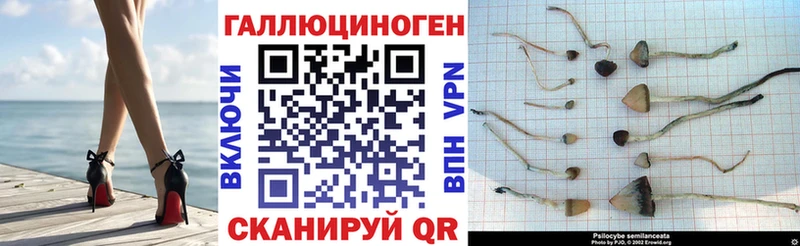 Галлюциногенные грибы мухоморы  наркота  Ефремов 