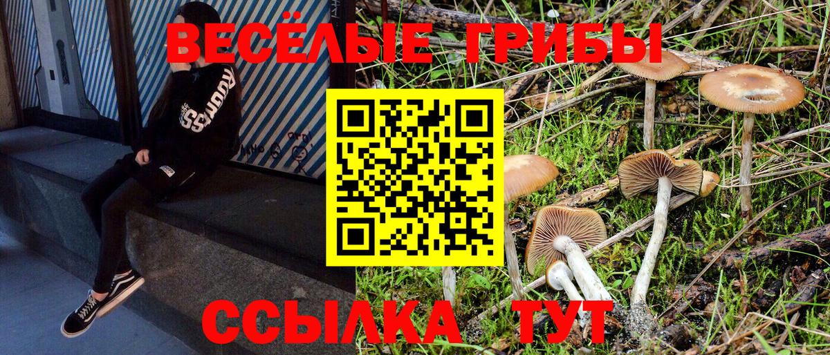 даркнет сайт  Ефремов  Псилоцибиновые грибы Magic Shrooms 