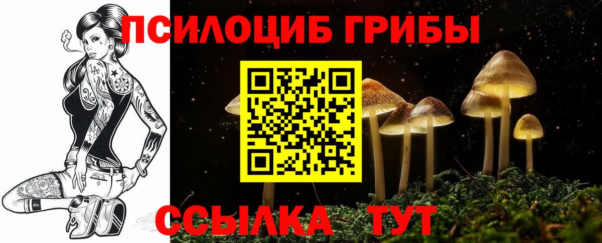 Псилоцибиновые грибы Magic Shrooms  купить наркоту  Ефремов  Вход с VPN 
